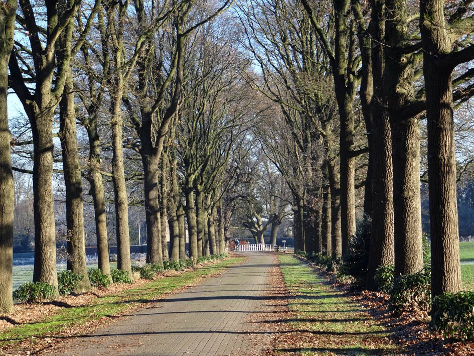 Natuurgebied Beekvliet-Borculo必去景点