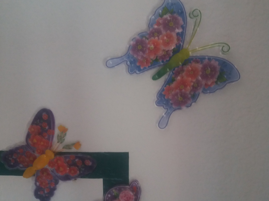 Hostal Nuevo Tropical主图