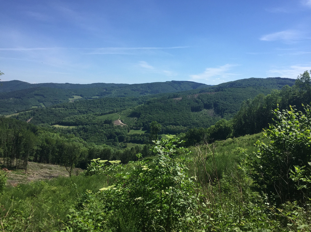 Marchampt旅游攻略图片