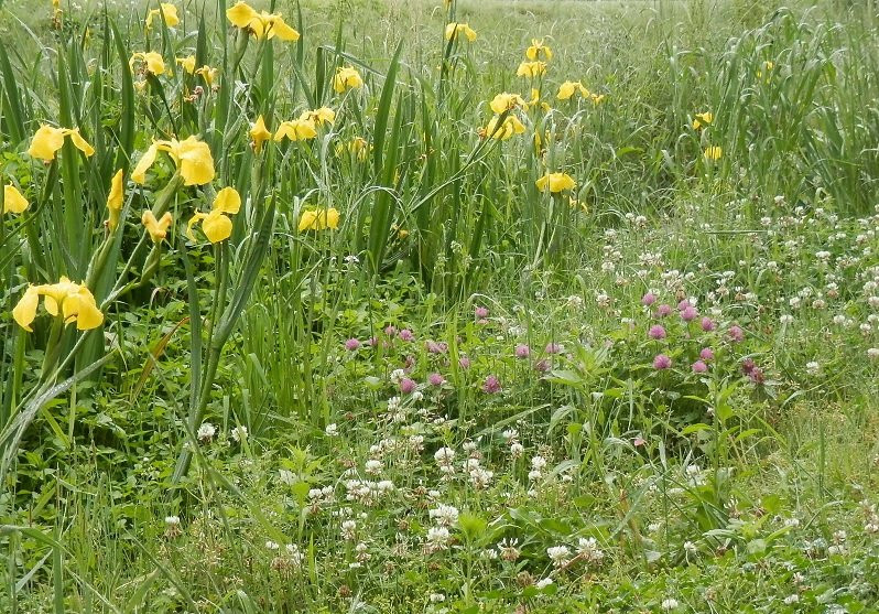 Kinu Green Park-高根泽町必去景点