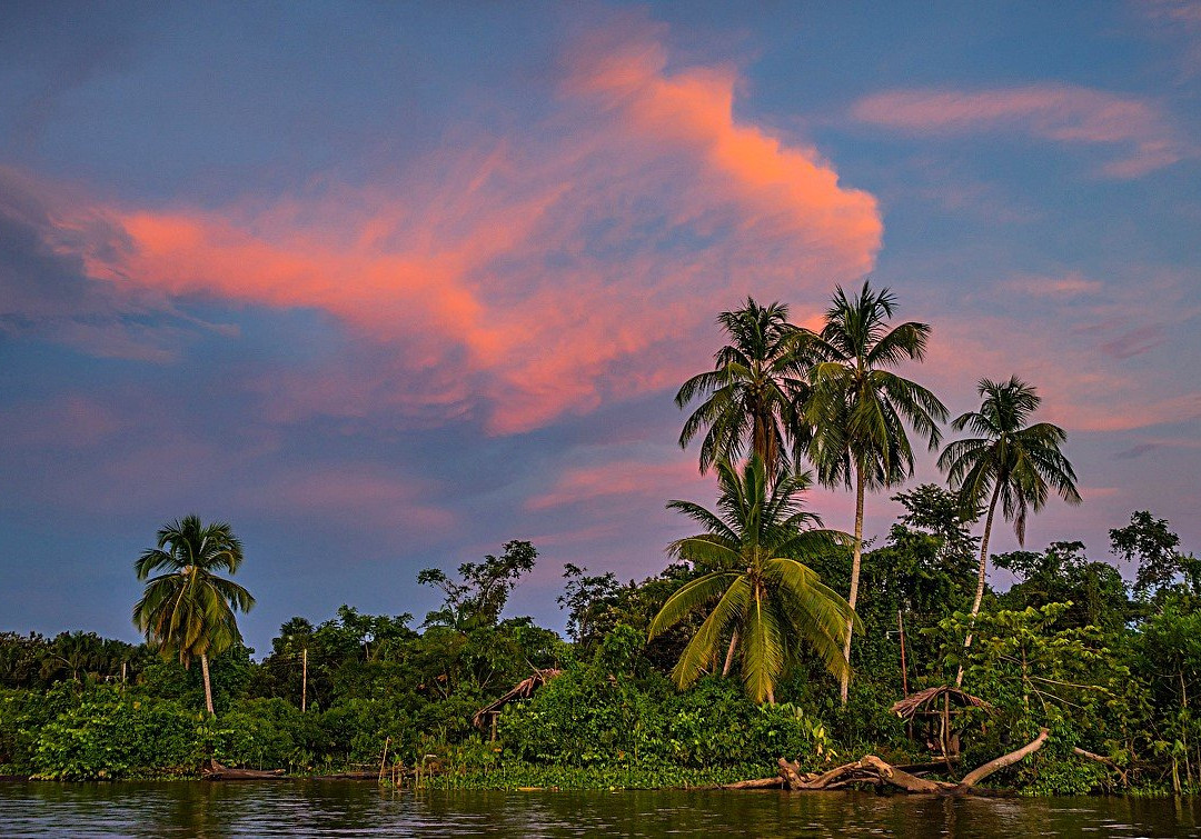 Orinoco Delta景点图片