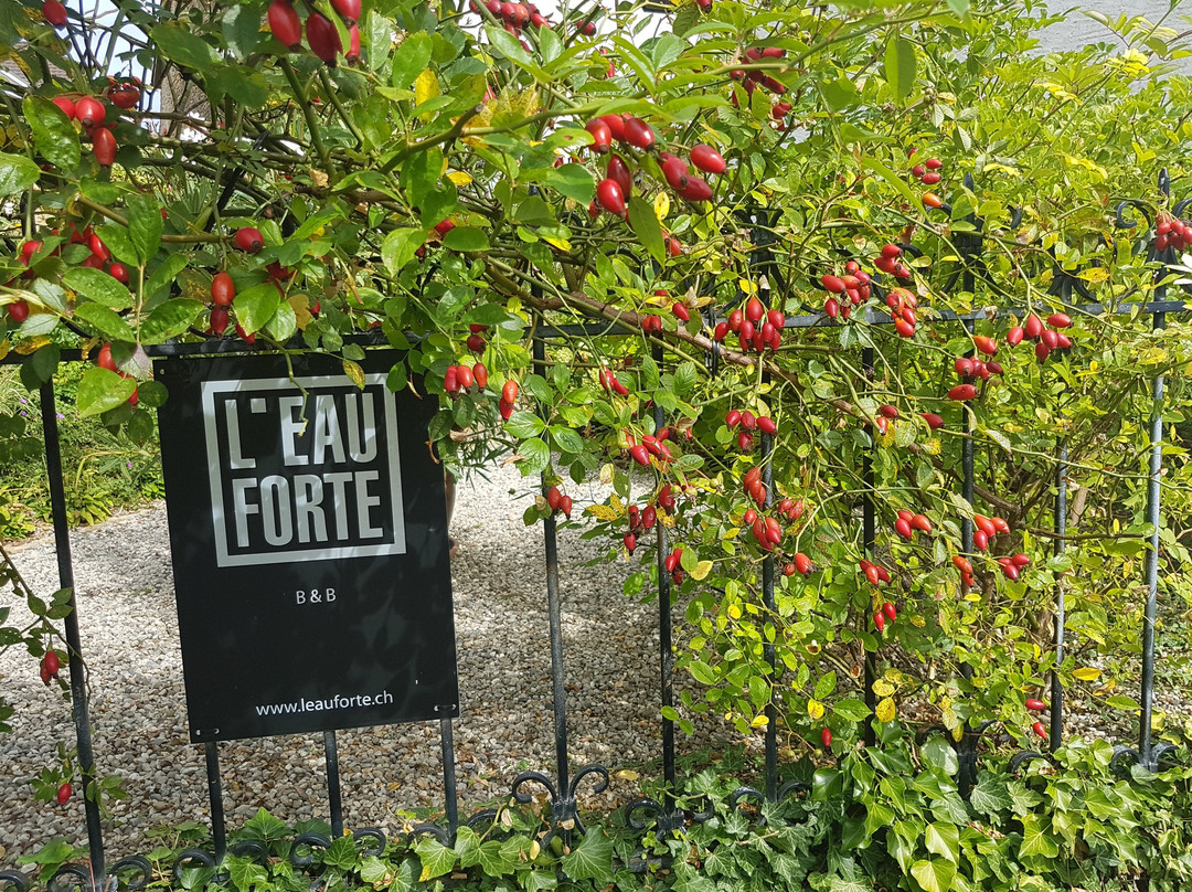 L'Eau Forte主图