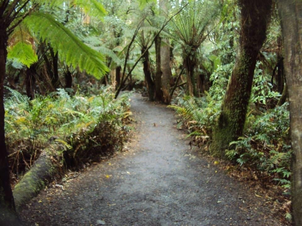Great Otway National Park景点图片