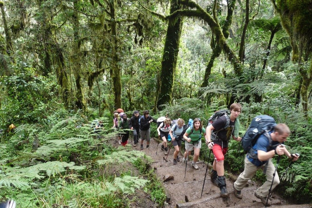 Best tour operator in Tanzania by Rede Tours and Safaris景点图片