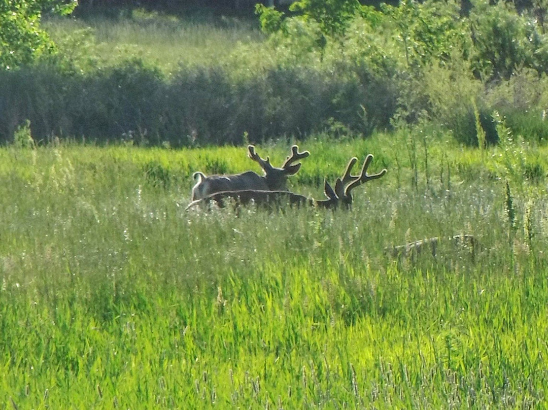 Horseshoe Park-奥罗拉必去景点