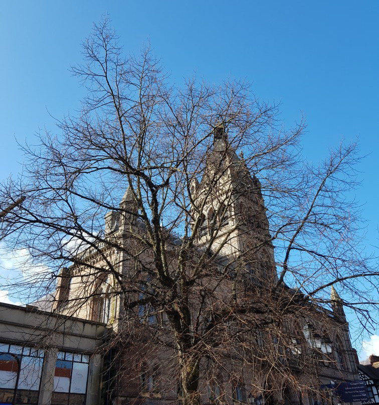 Chester Town Hall景点图片