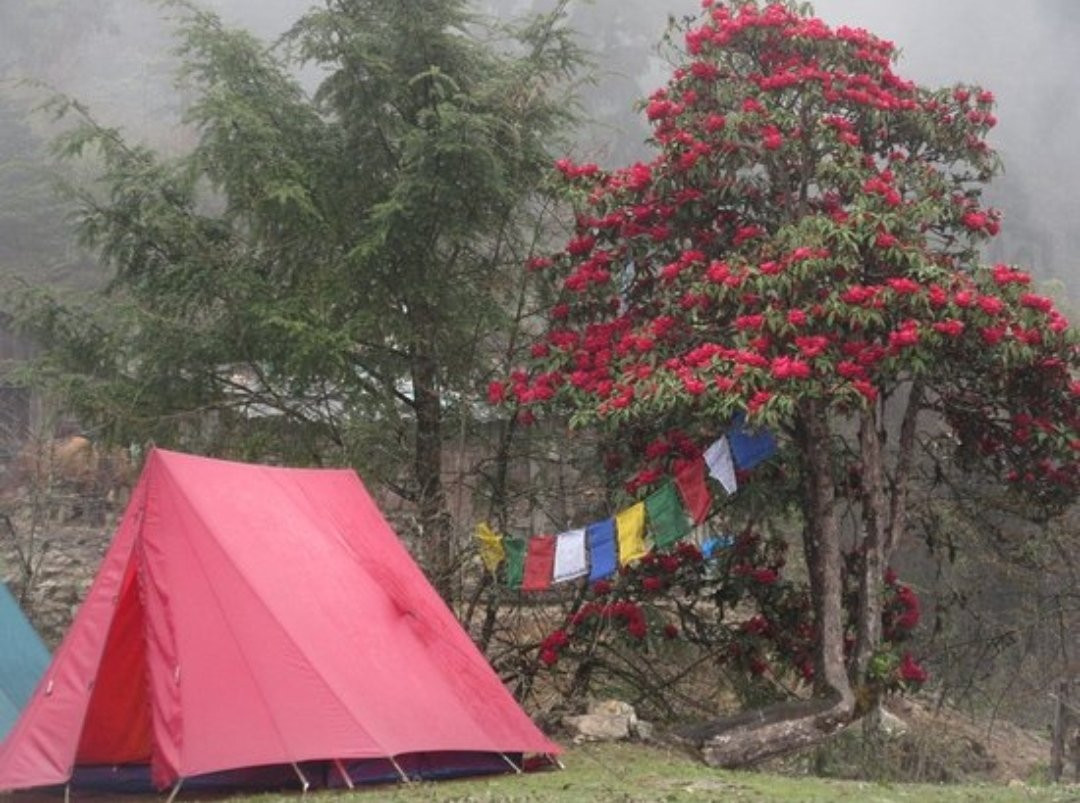 Dzongri Goechala-Yuksom必去景点