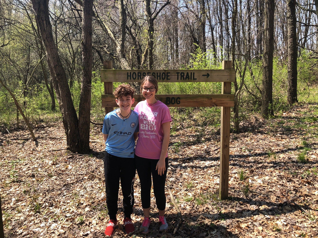 Jackson Bog State Nature Preserve景点图片
