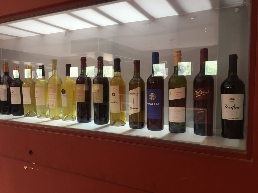 Museo de la Vid y el Vino景点图片