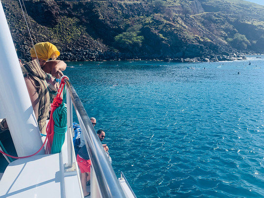 Four Winds Molokini Snorkeling Tour-怀露库必去景点