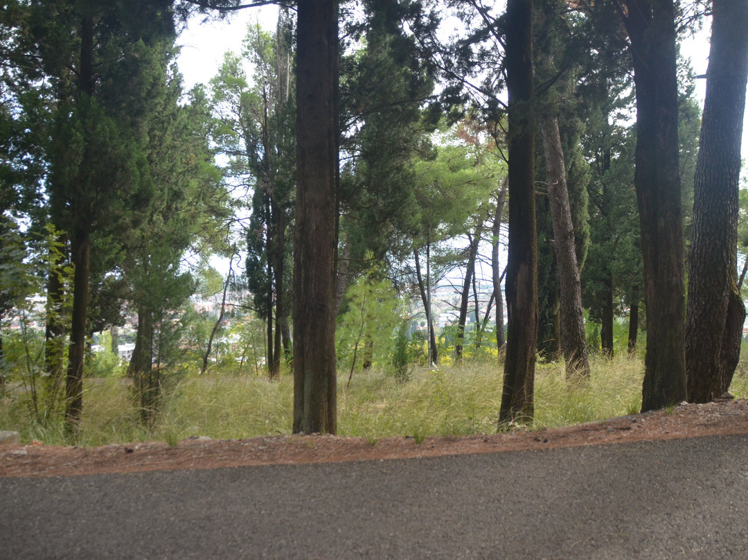 Park Forest Gorica-波德戈里察必去景点