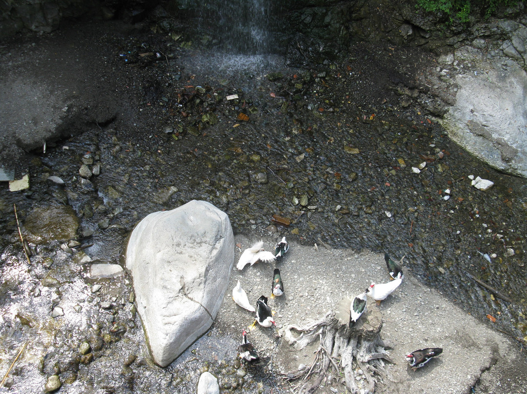 Palia Kakopetria景点图片