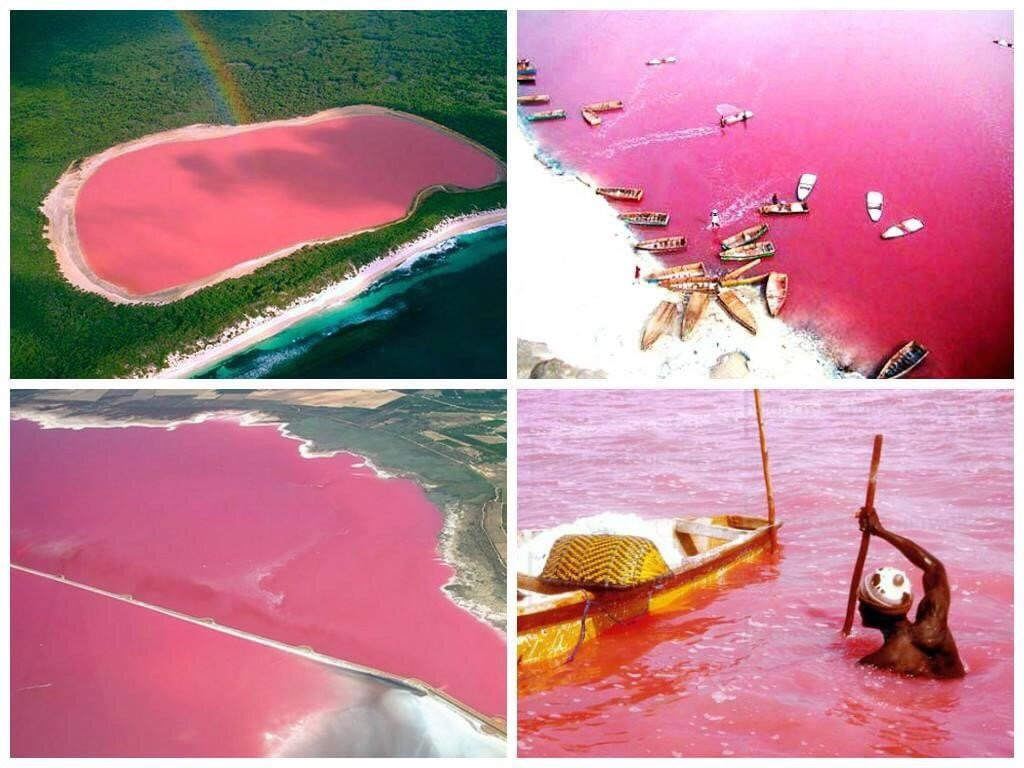 Senegal travel and tours景点图片