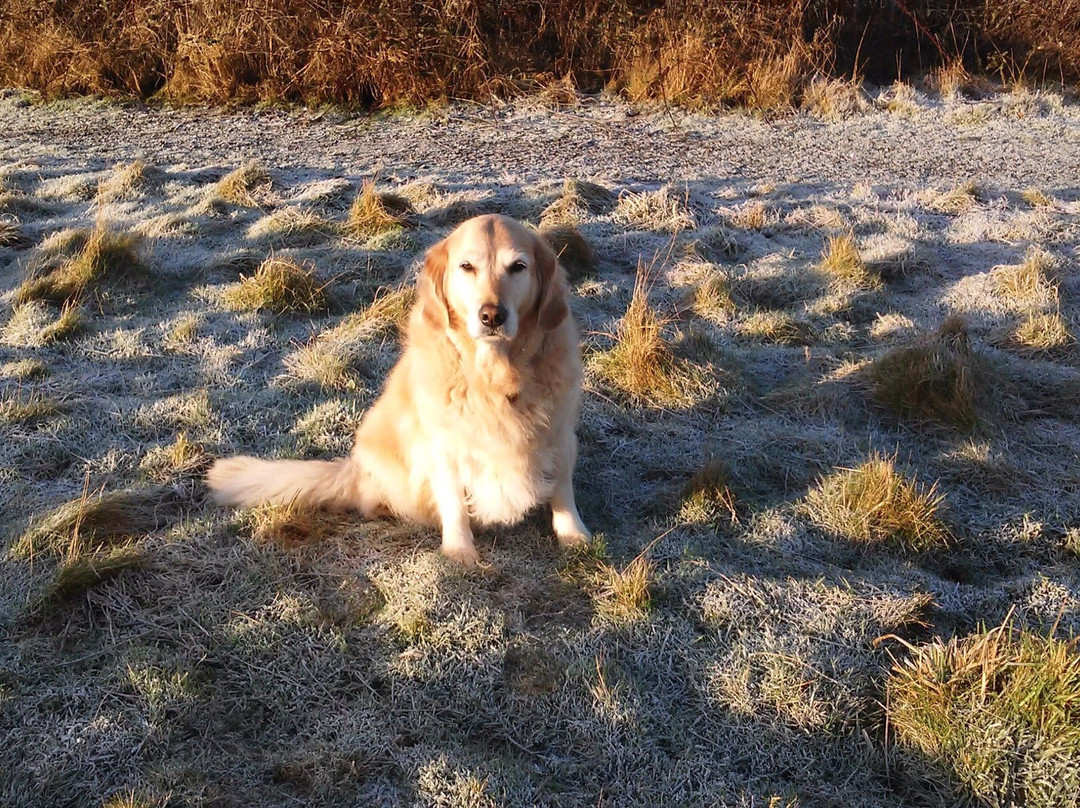 Borough Hill-达文特里必去景点