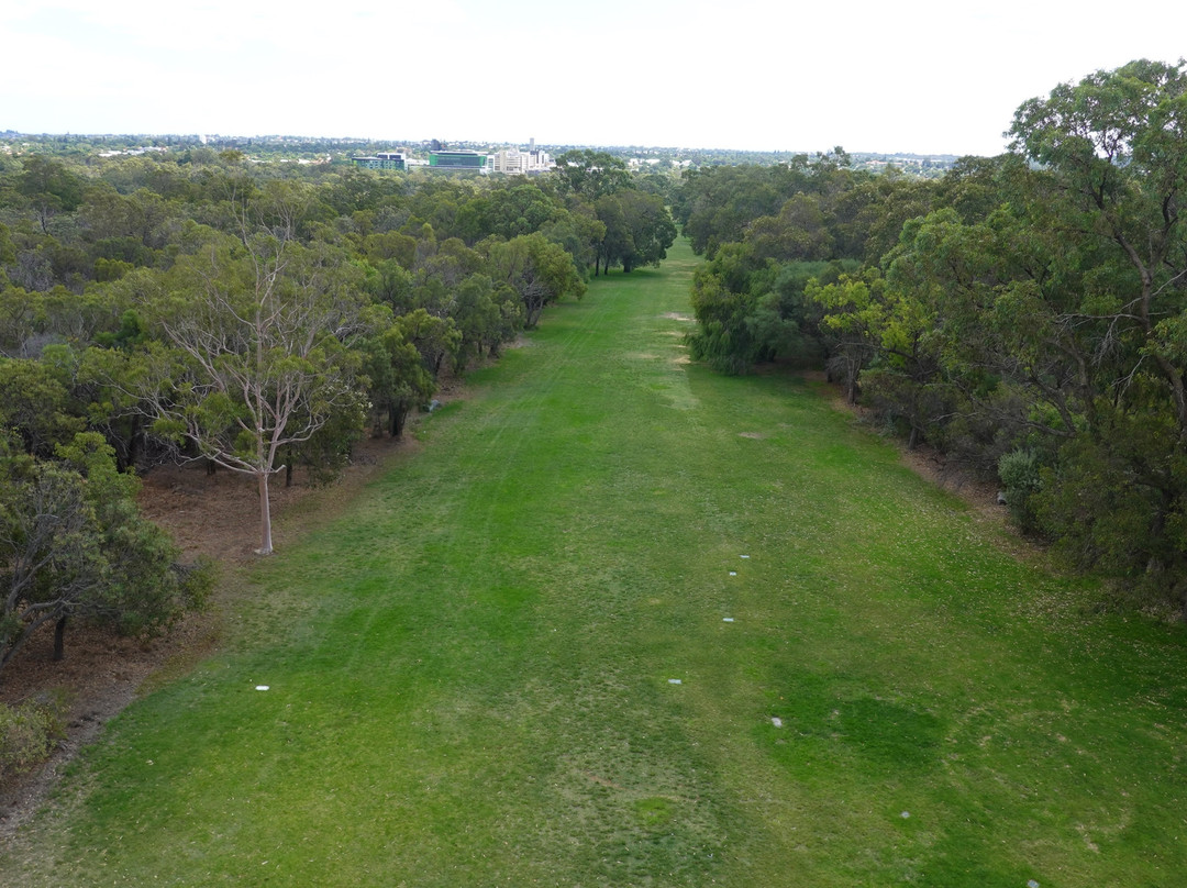 DNA Tower Climb-珀斯必去景点