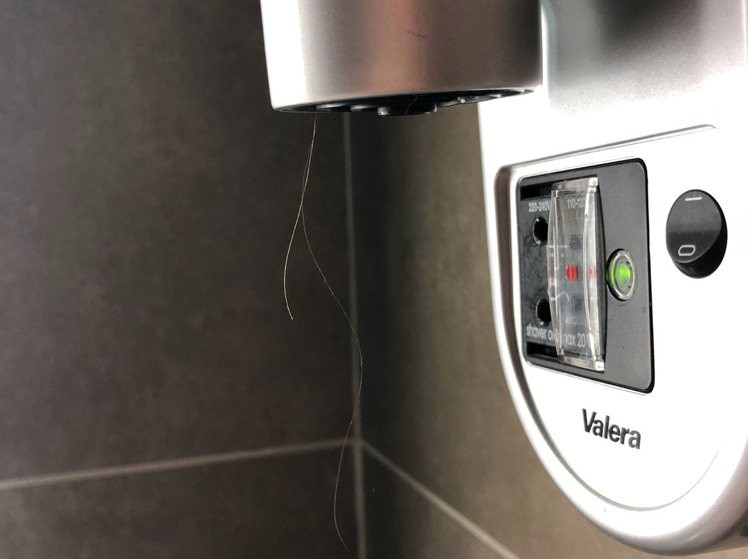 Château Jeanne & The Forest主图