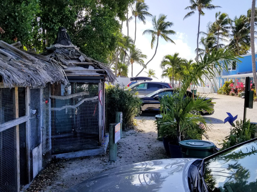 Sands of Islamorada Hotel主图