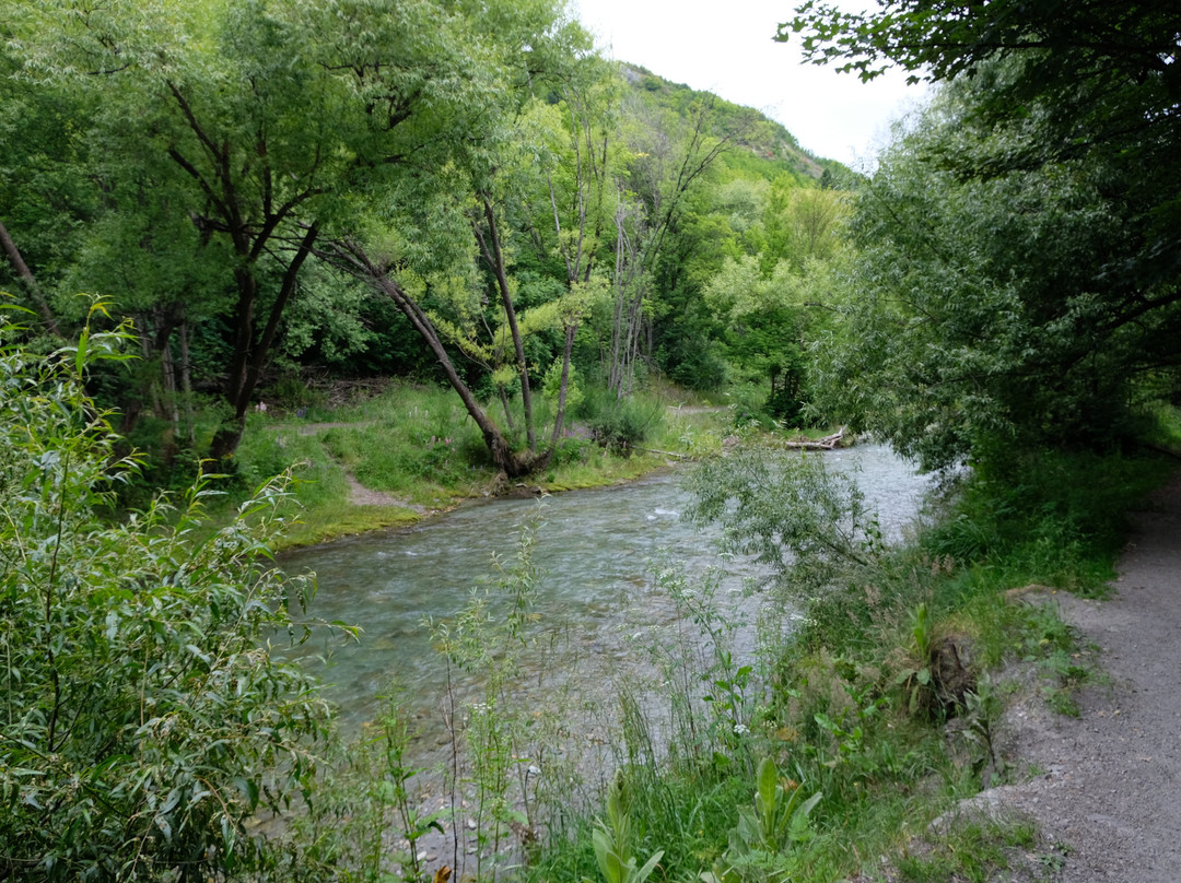 Bush Creek Trail-箭镇必去景点