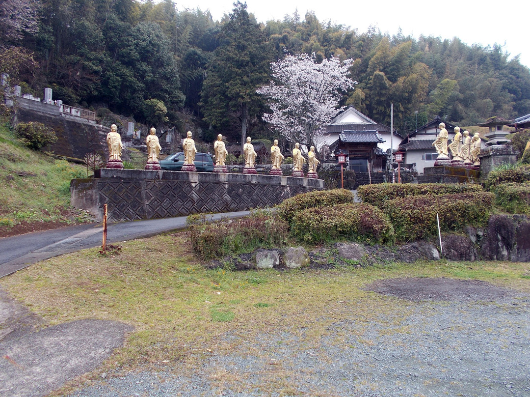 Kofukuji No Bokefuji Nagaiki Kannon Bosatsu景点图片