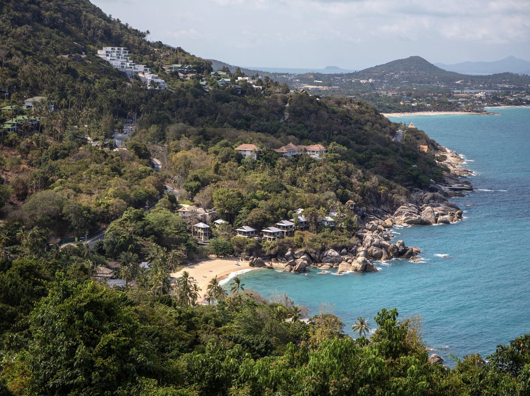 檀香木豪华别墅主图