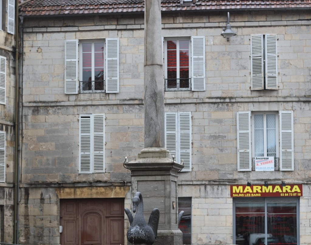 Fontaine aux cygnes景点图片