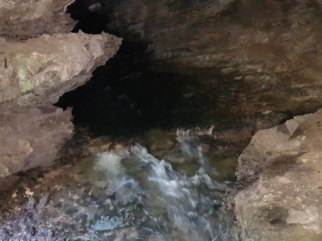 Junee Caves-Maydena必去景点