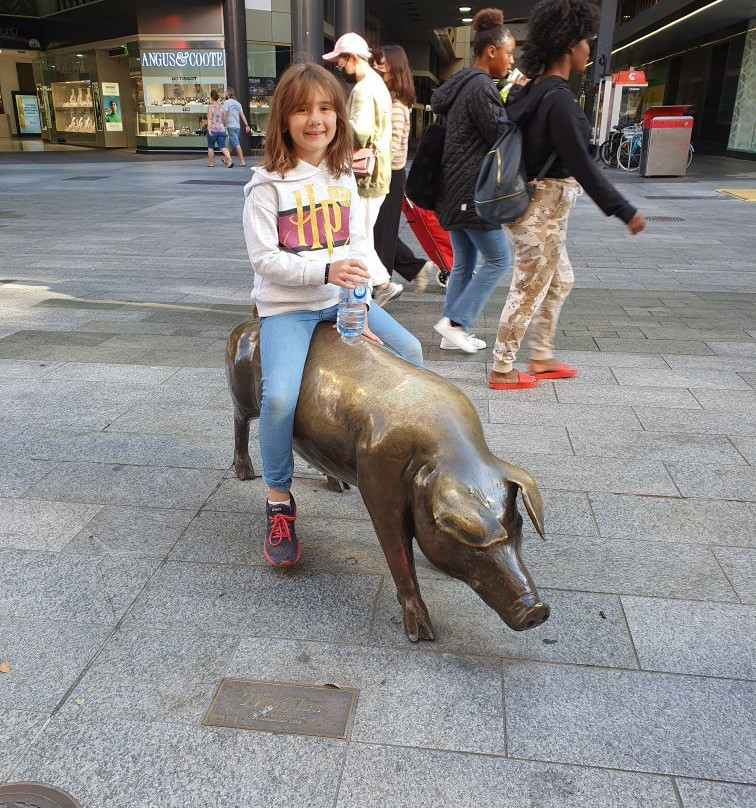 The Rundle Mall Pigs-阿德莱德必去景点