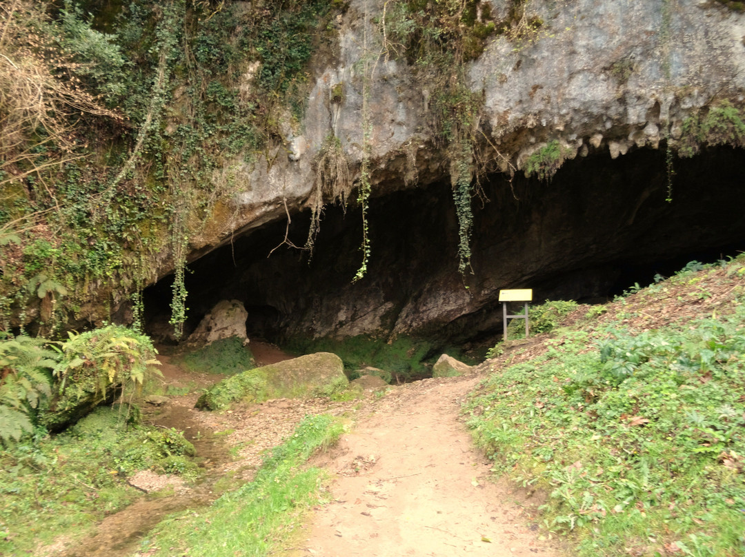 Parque Paleolitico de la Cueva del Valle景点图片