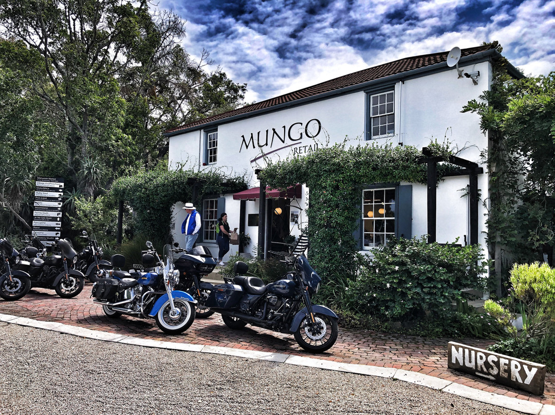 Mungo Mill-普利登堡湾必去景点