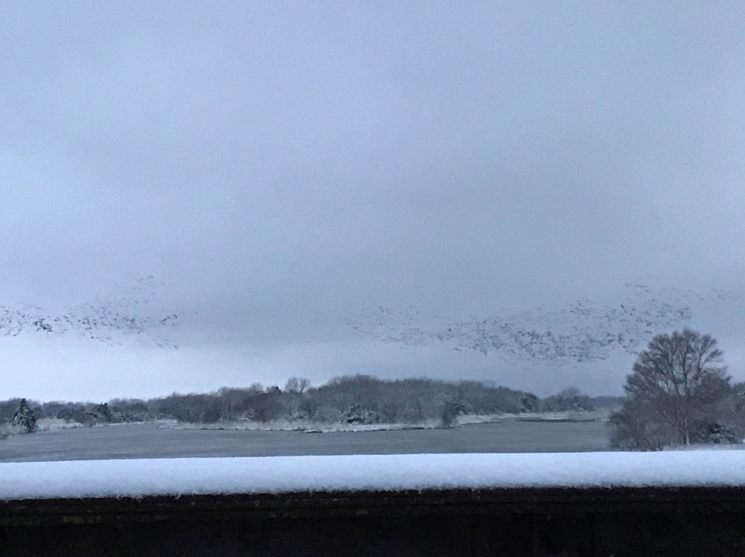 Hike-Bike Trail Bridge-卡尼必去景点