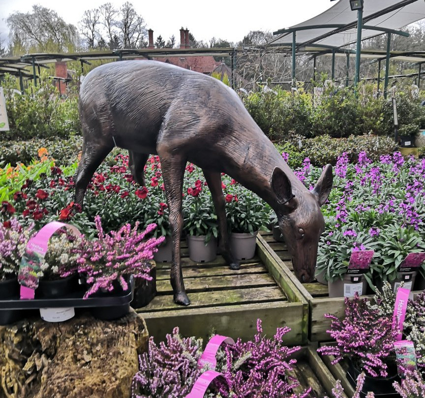 Grosvenor Garden Centre景点图片