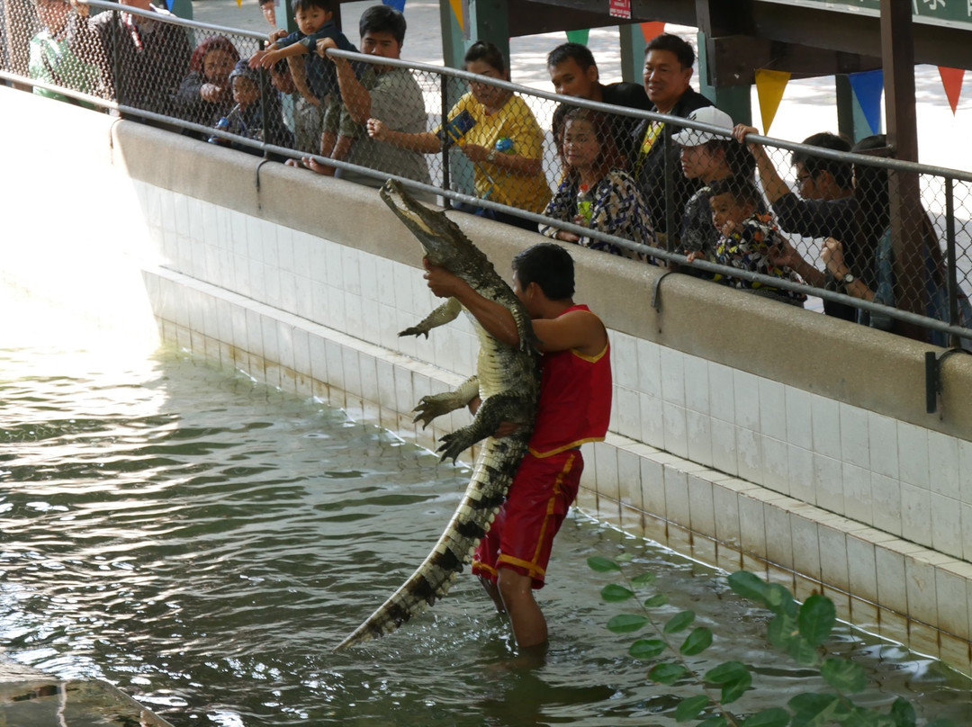 Samphran Elephant Ground & Zoo-佛统必去景点