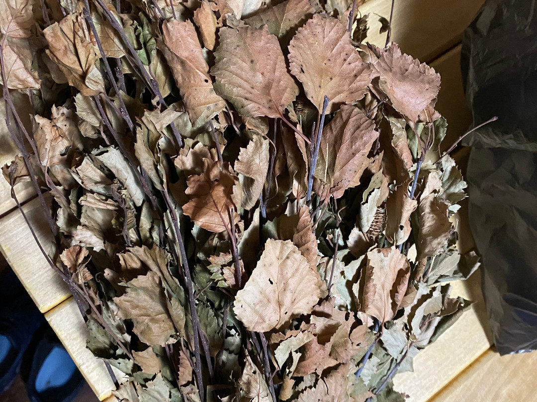 Gornaya Salanga Ski Resort-Belogorsk必去景点