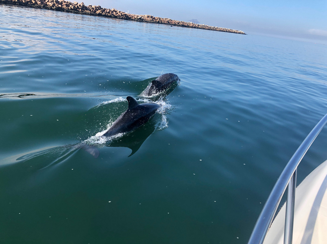 Marek Adventures-温德和克必去景点