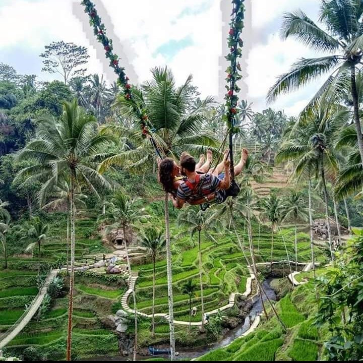 Bali Swing-乌布必去景点