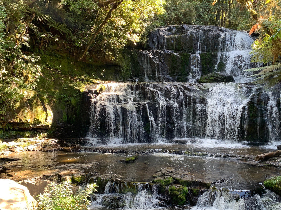 Purakaunui Falls Walk景点图片