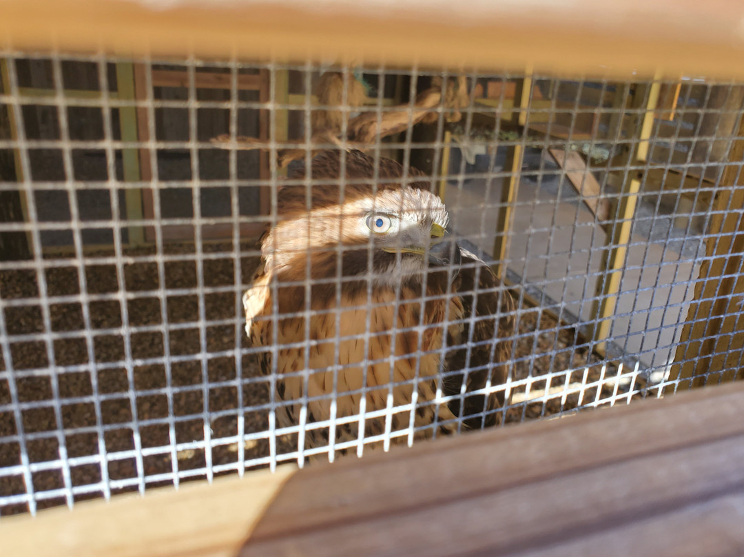 Gulf State Park Nature Center-橙色海湾必去景点