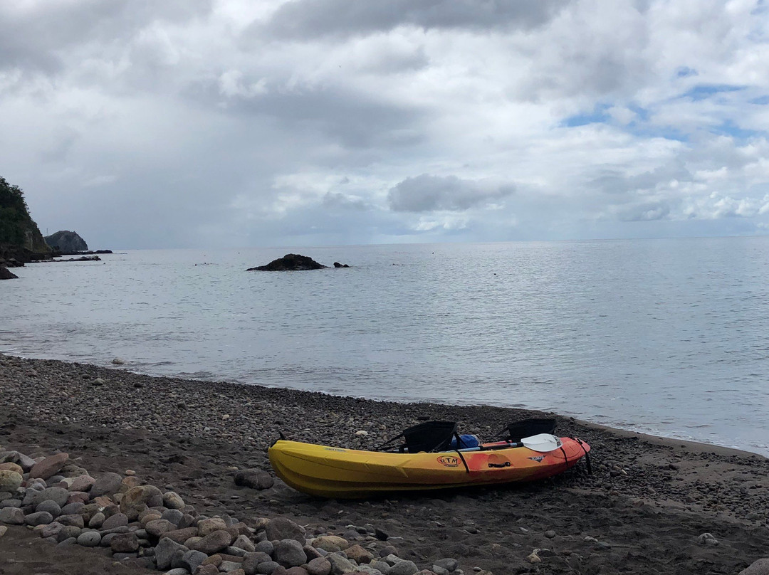 Champagne Reef Dive & Snorkel-罗索必去景点