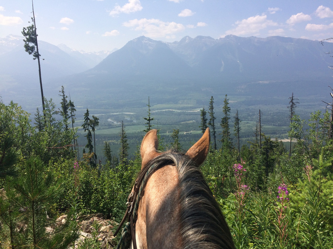 Cowgirl Up Adventures景点图片