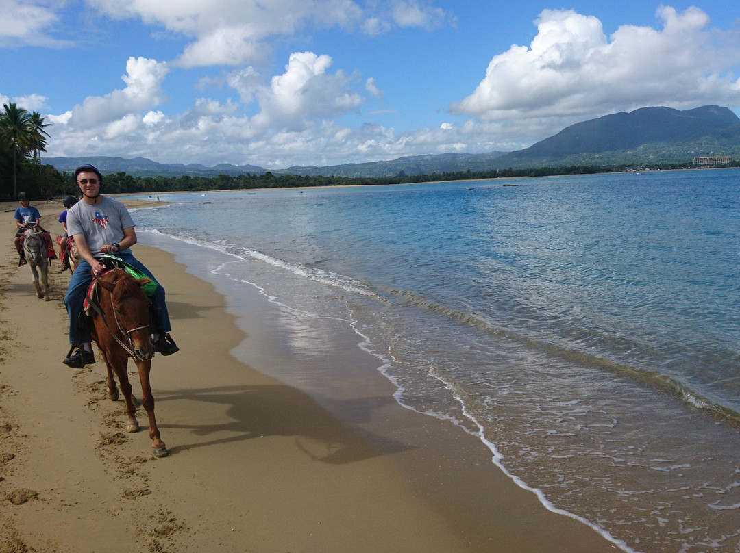 Rancho Salvaje-普拉塔港必去景点