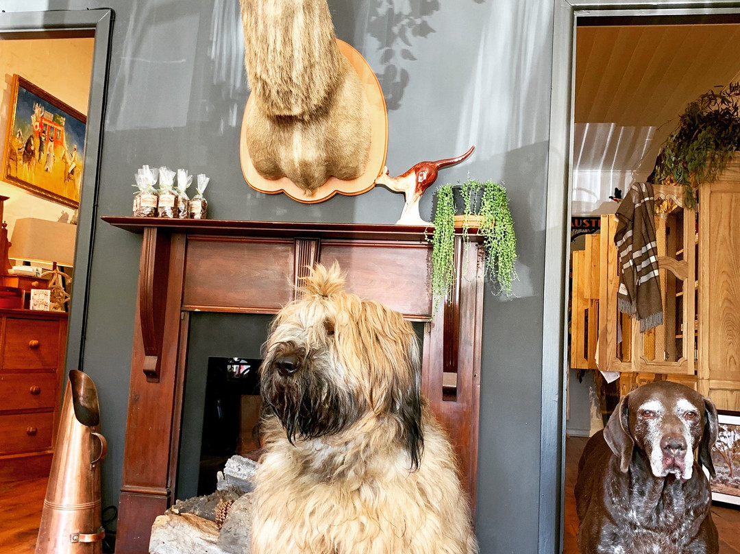 The Old Produce Store Binalong-Binalong必去景点