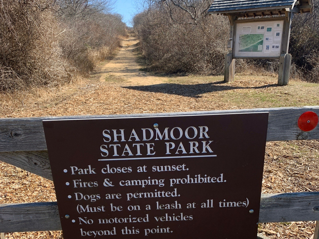 Shadmoor State Park-蒙托克必去景点
