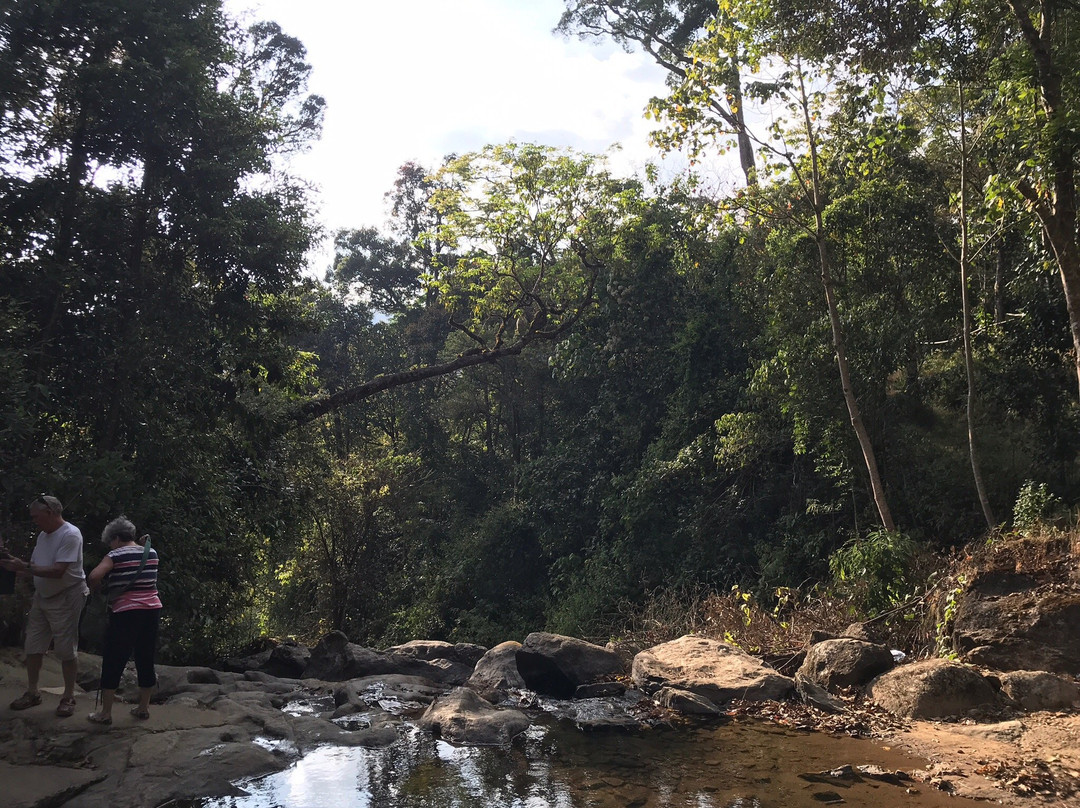 Rainforest Munnar Resort主图