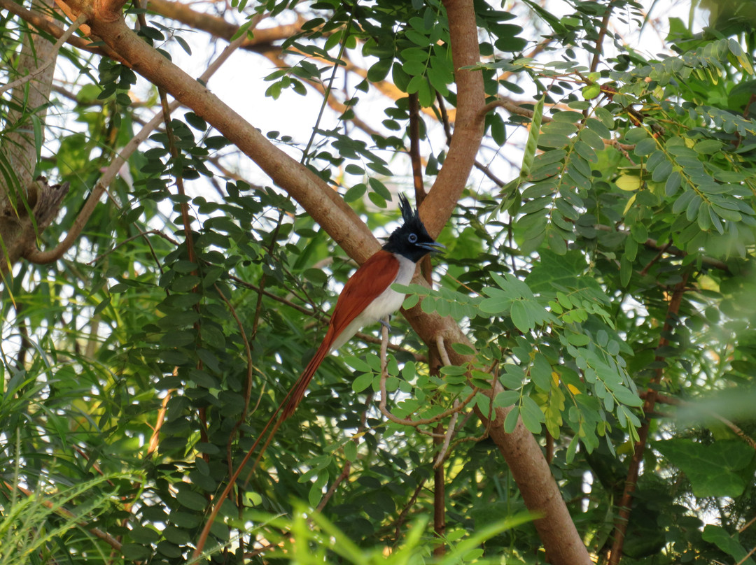 可爱蜜蜂酒店主图