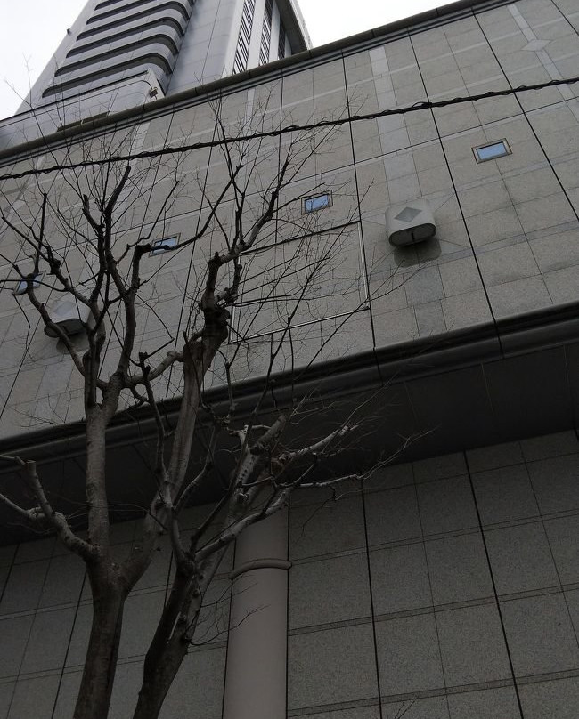 OMO7 高知 星野集团主图