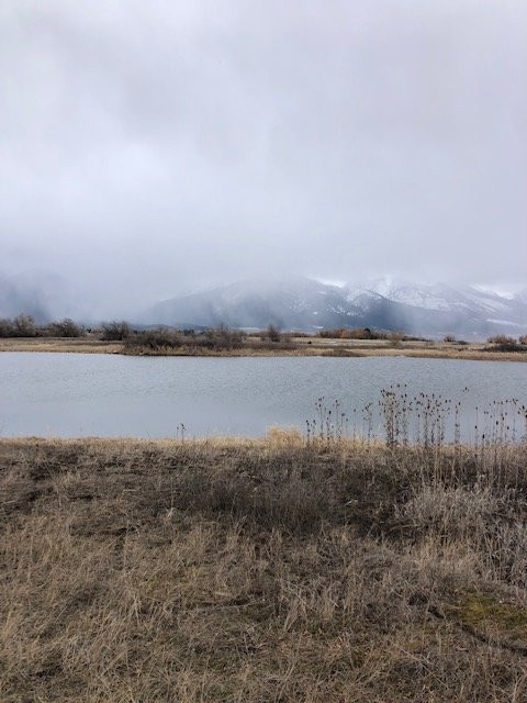 Nine Pipe Reservoir景点图片