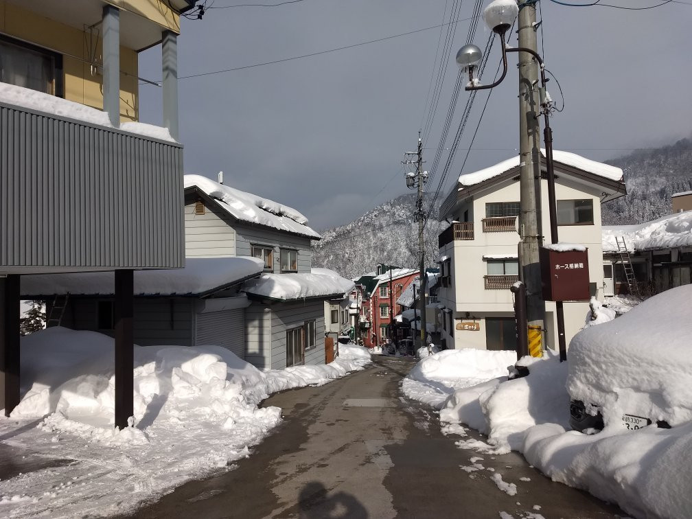 Nozawa Central Hotel主图