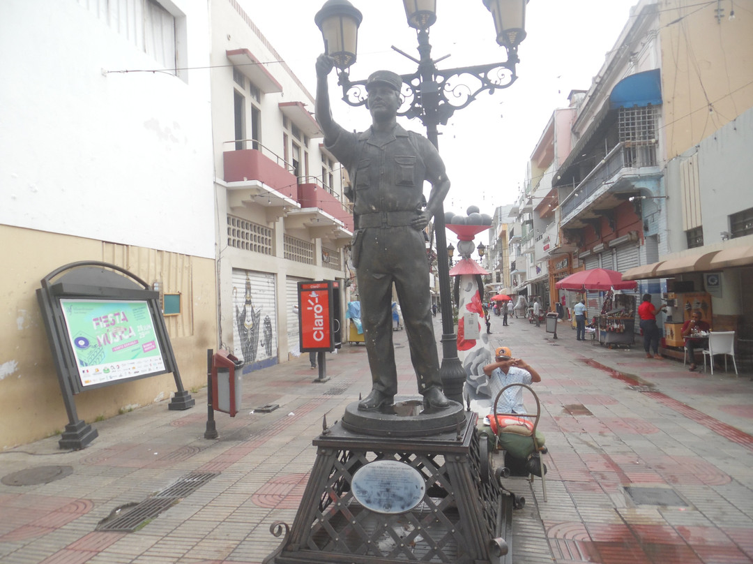 Statue Coronel Francisco Alberto Caamano景点图片