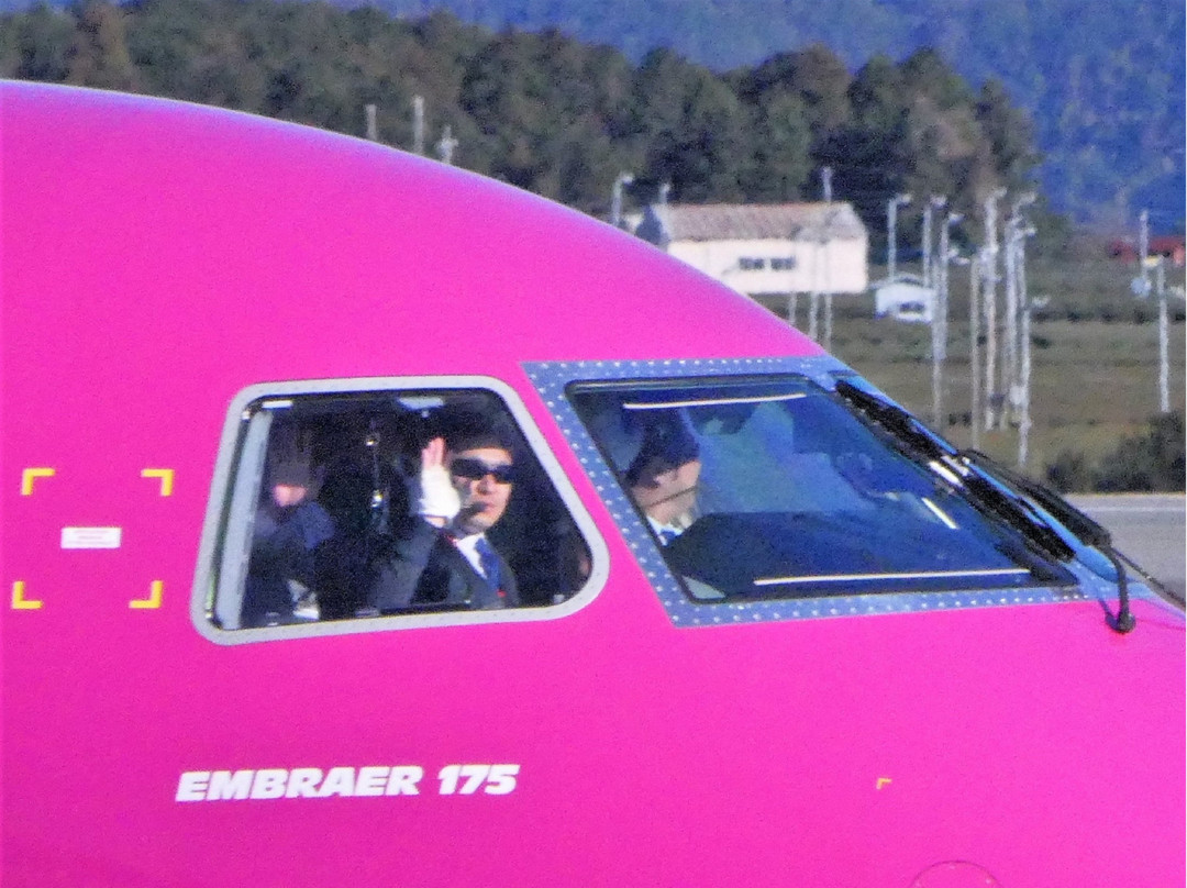 Sekiun-in Temple Observation Deck-牧之原市必去景点