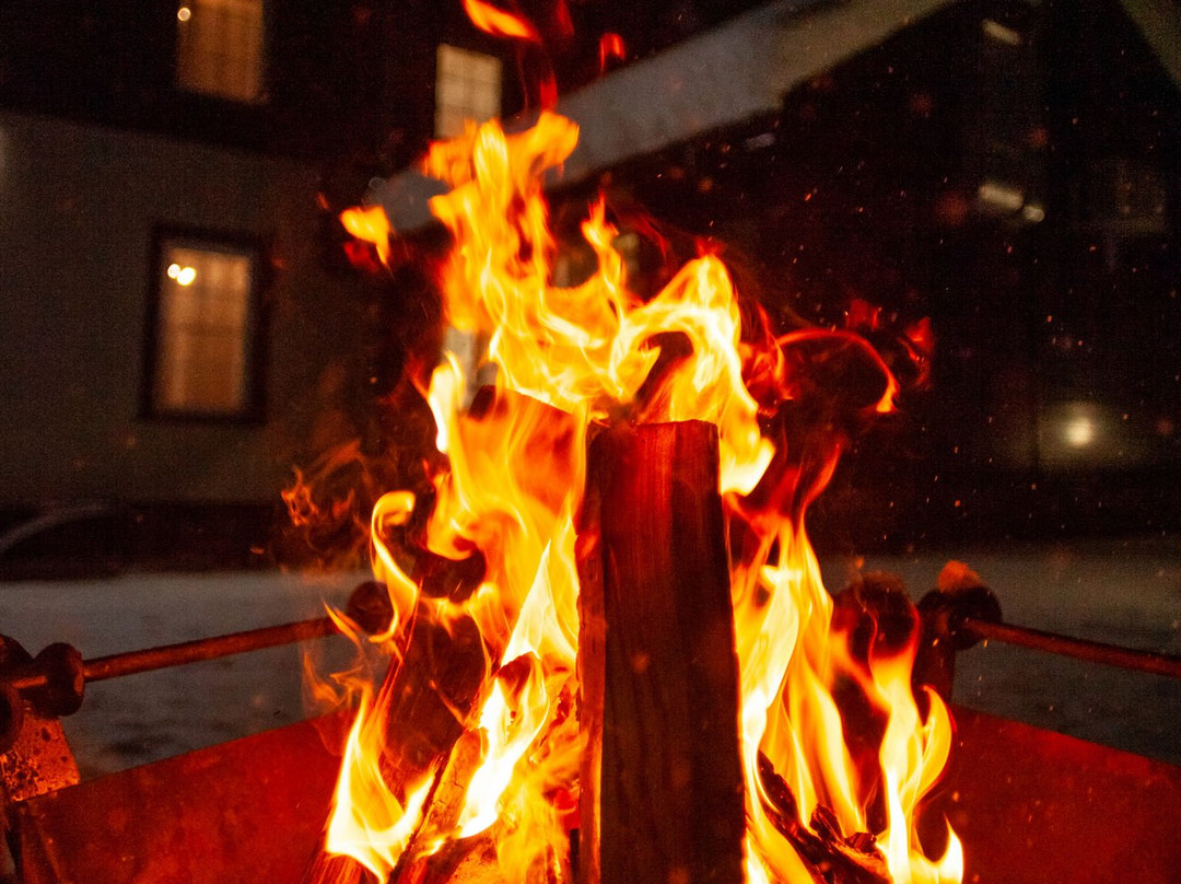 Leontopodium Teletskoye主图